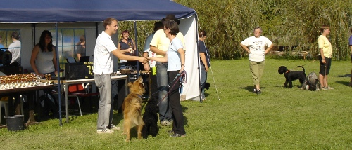 Curly_3PlatzA1Freising2011