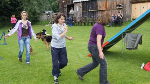 Feier Schaukasten und A3 Curly 7.Juni 2012 015
