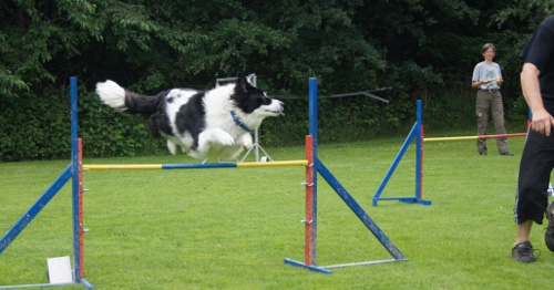 Feier Schaukasten und A3 Curly 7.Juni 2012 019