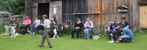 Feier Schaukasten und A3 Curly 7.Juni 2012 020