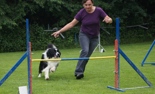 Feier Schaukasten und A3 Curly 7.Juni 2012 022