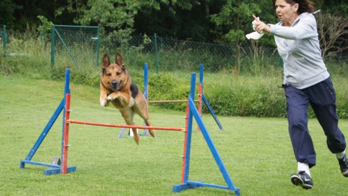 Feier Schaukasten und A3 Curly 7.Juni 2012 027