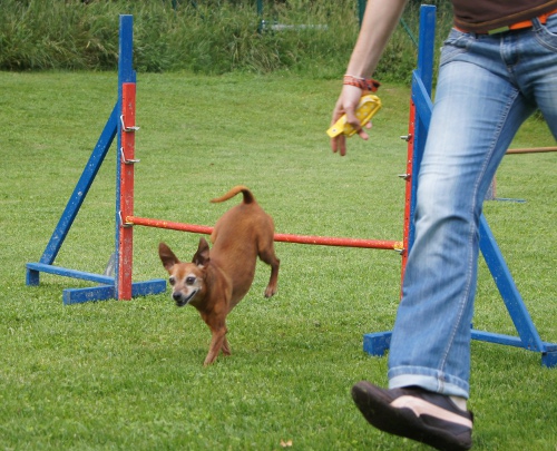 Feier Schaukasten und A3 Curly 7.Juni 2012 036