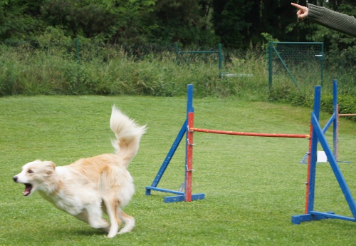 Feier Schaukasten und A3 Curly 7.Juni 2012 040
