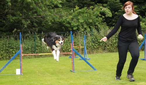 Feier Schaukasten und A3 Curly 7.Juni 2012 049