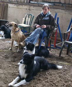 Hundeparkplatz Hundeparkplatz