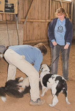 Oster-JoKi-Cup_2008 003 Oster-JoKi-Cup_2008 003