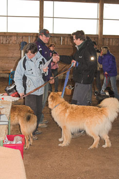 Oster-JoKi-Cup_2008 007