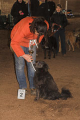 Oster-JoKi-Cup_2008 033