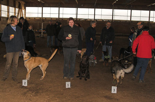 Oster-JoKi-Cup_2008 046 Oster-JoKi-Cup_2008 046