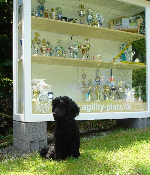 Schaukasten Juni 2012 028a