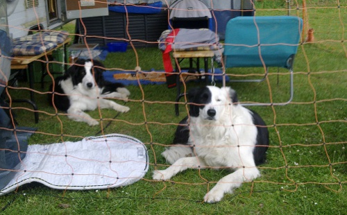 Teublitz Turnier Mai 2012 011 Teublitz Turnier Mai 2012 011