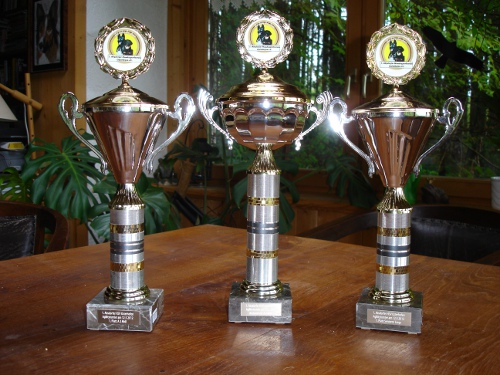 Turnier KA Absdorf mai 2012 003