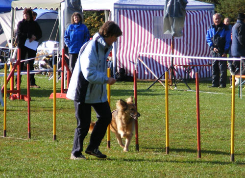 Turnier Schwandorf 2008 016