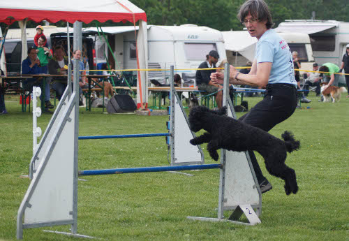 Vilsbiburg 2012d Vilsbiburg 2012d