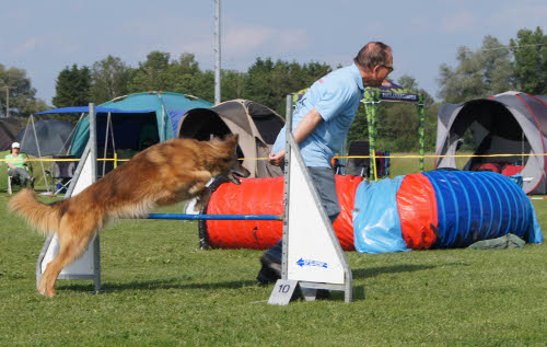 Vilsbiburg 2012f Vilsbiburg 2012f