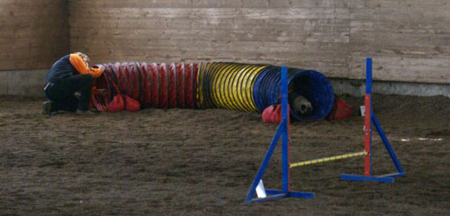 Wo_ist_Elton Wo_ist_Elton