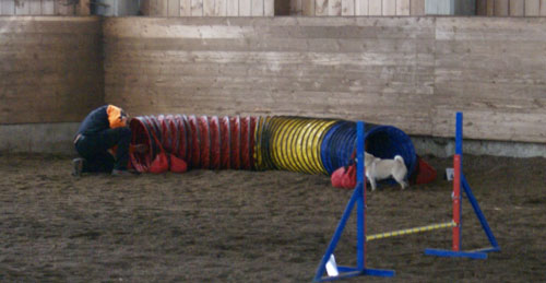 Wo_ist_Frauchen Wo_ist_Frauchen