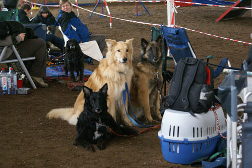 Zuschauer05 Zuschauer05