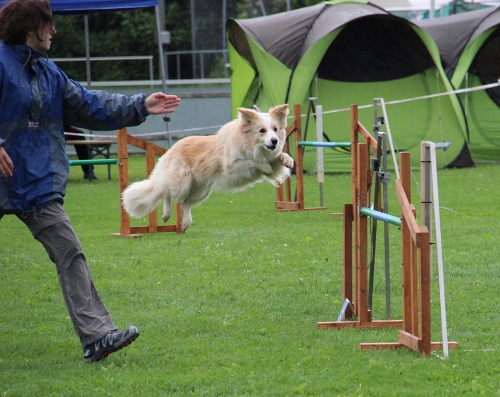 augsburg jun2012ginger