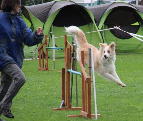 augsburg jun2012ginger2