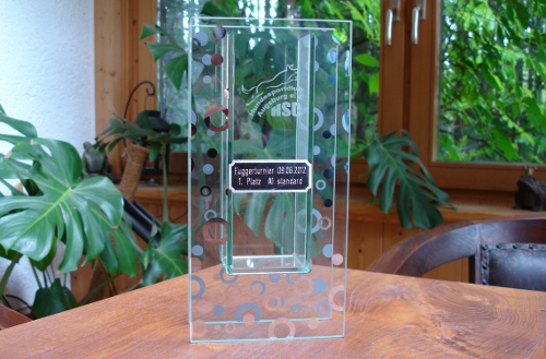 augsburg jun2012pokal