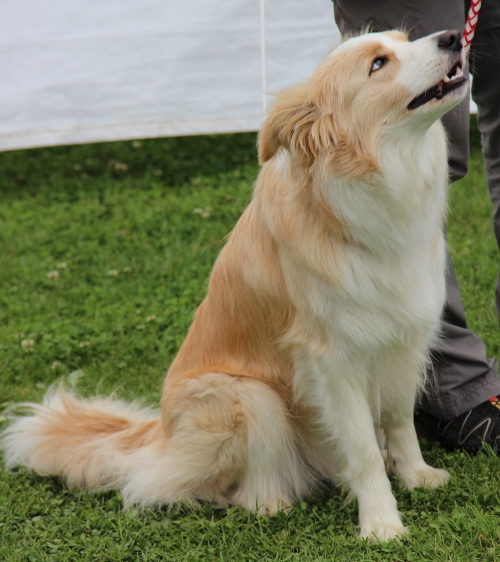 augsburg jun2012toll