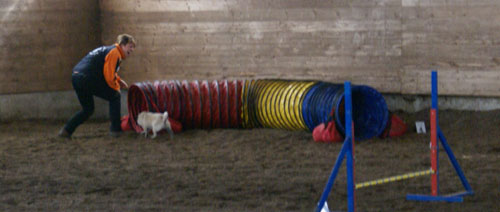 da_bist_du_ja da_bist_du_ja