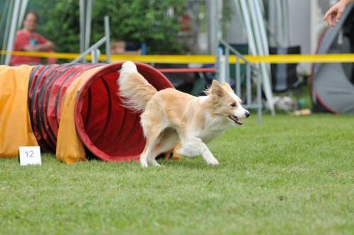 dingolfing2012juli07