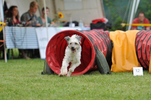 dingolfing2012juli12