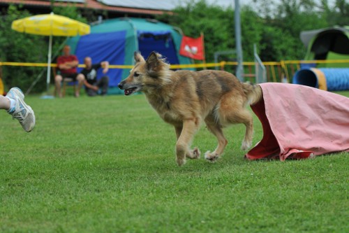 dingolfing2012juli14