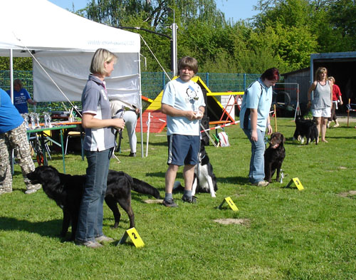 egg_turnier09sa_lucky