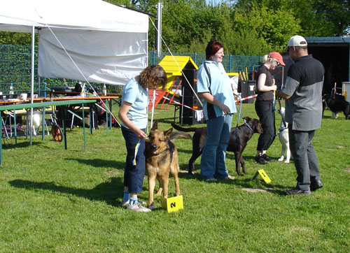 egg_turnier09sa_yorka