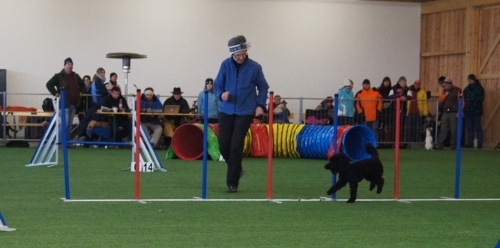 funturnier_feb2012absdorf 013