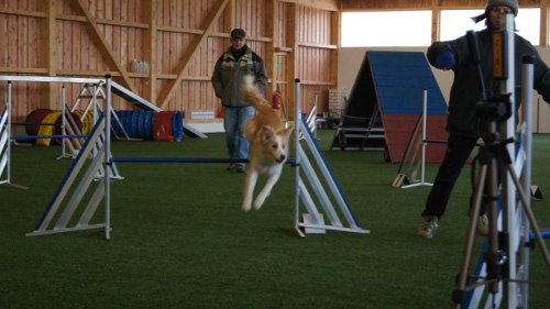 funturnier_feb2012absdorf 021