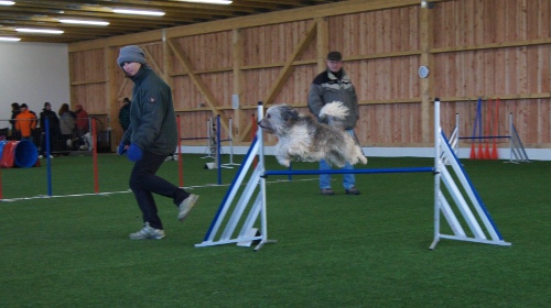 funturnier_feb2012absdorf 031