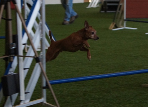 funturnier_feb2012absdorf 055