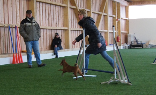 funturnier_feb2012absdorf 183