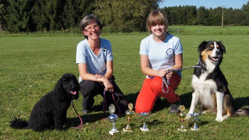 mirko_Curly_sep 2011