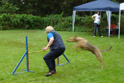 sina2008waltraudtatusch