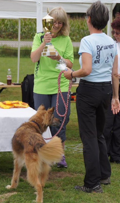 vdp_bundessieger_ciara