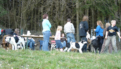 welpentreff2008d